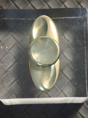 Dragonfly Stainless Steel