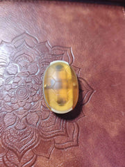 Jingle Beetle PEI