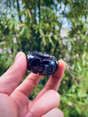 Pillbug Mokuti