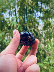 Pillbug Mokuti