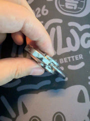 Baby Dolphin Stainless Steel