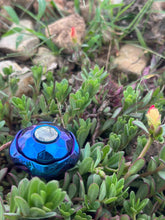 Poisonous Mushroom Zirconium Limited Edition