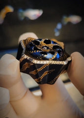 Yaezakura Titanium