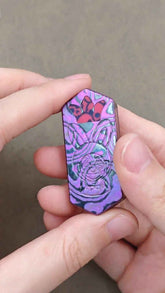 Plane Zircuti