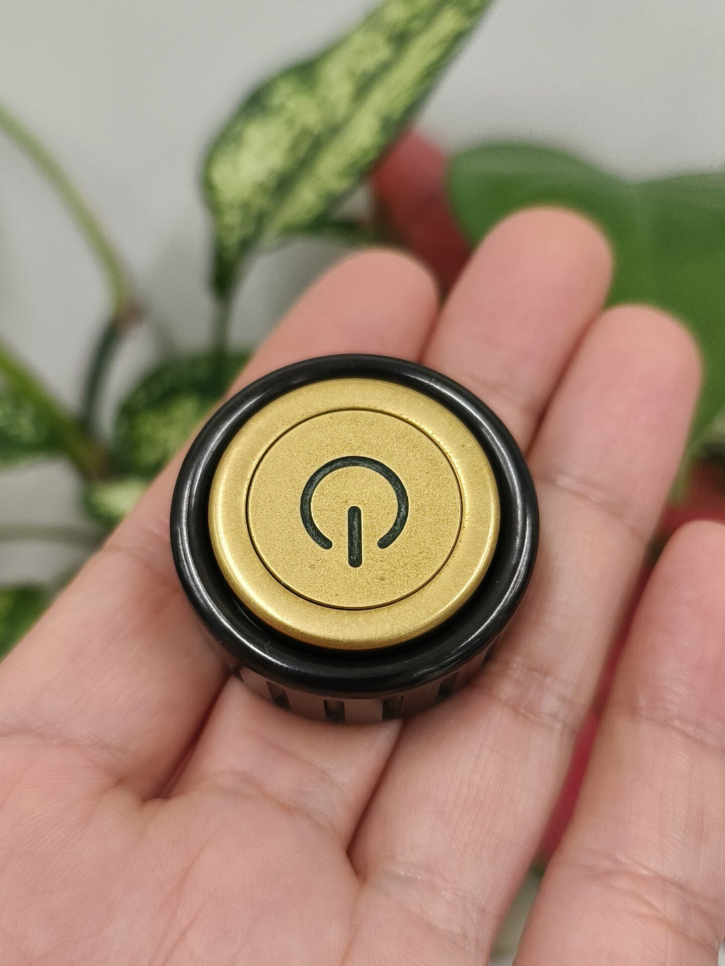 START Zirconium Brass