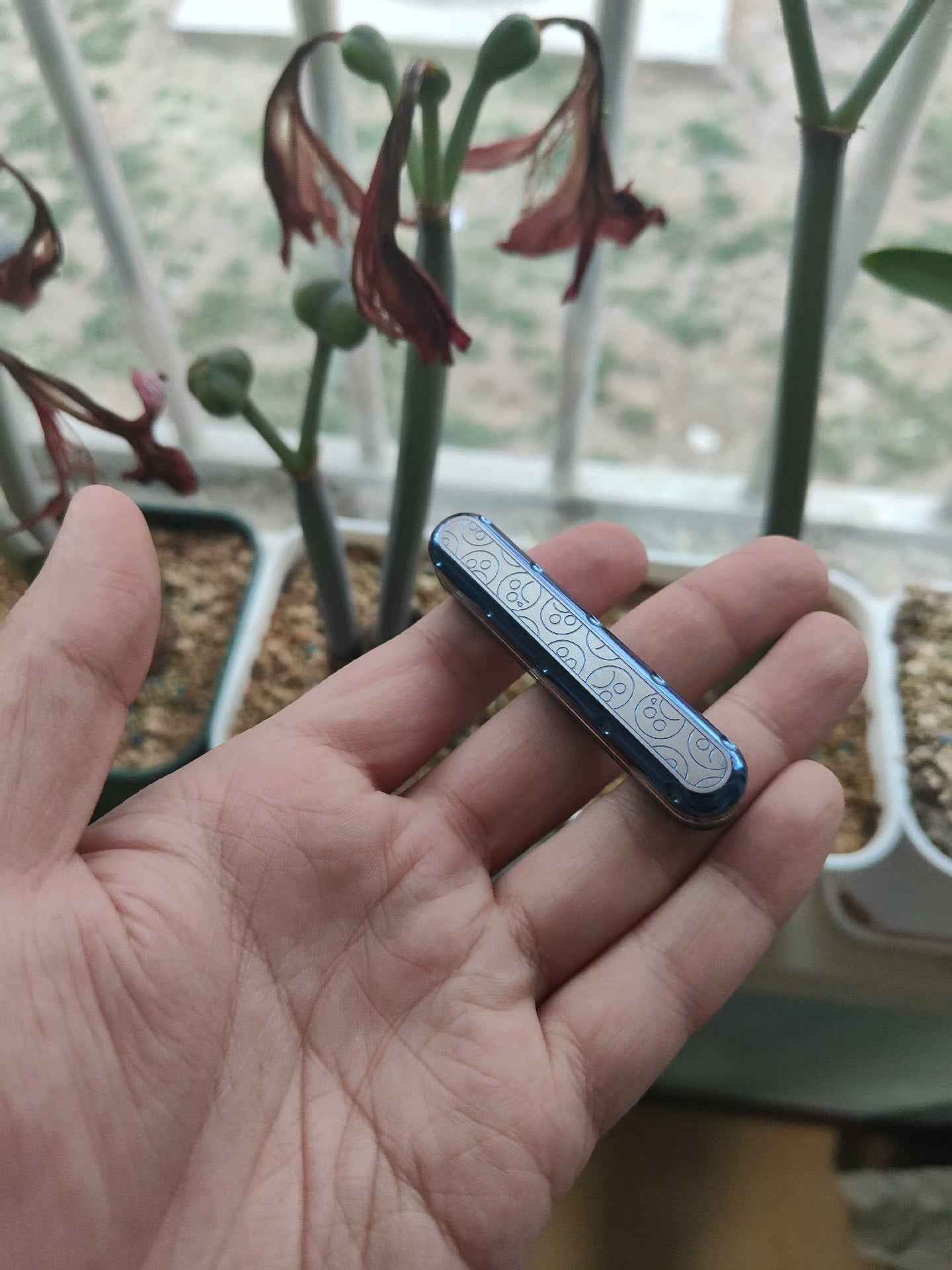 Top D Titanium