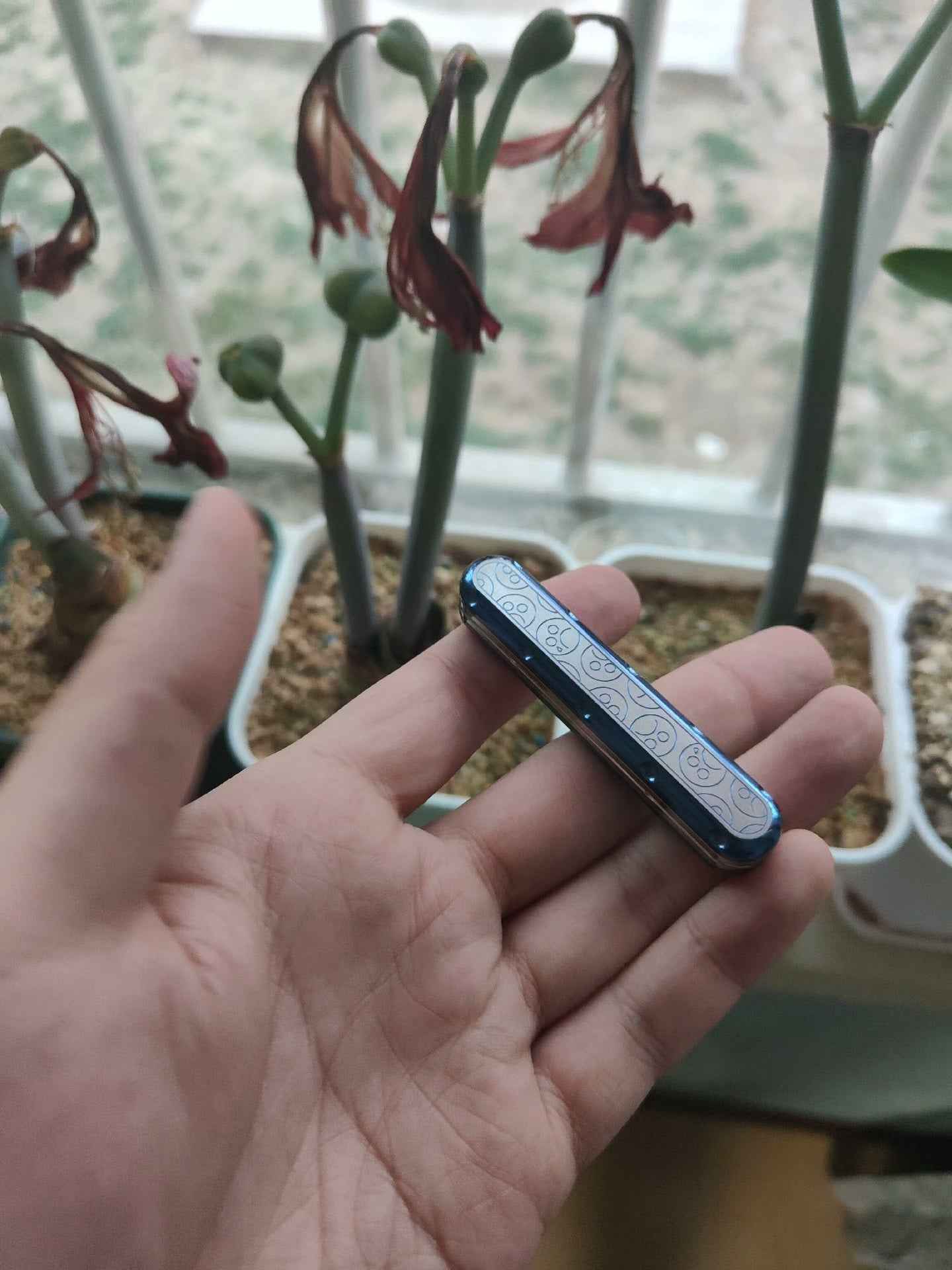 Top D Titanium