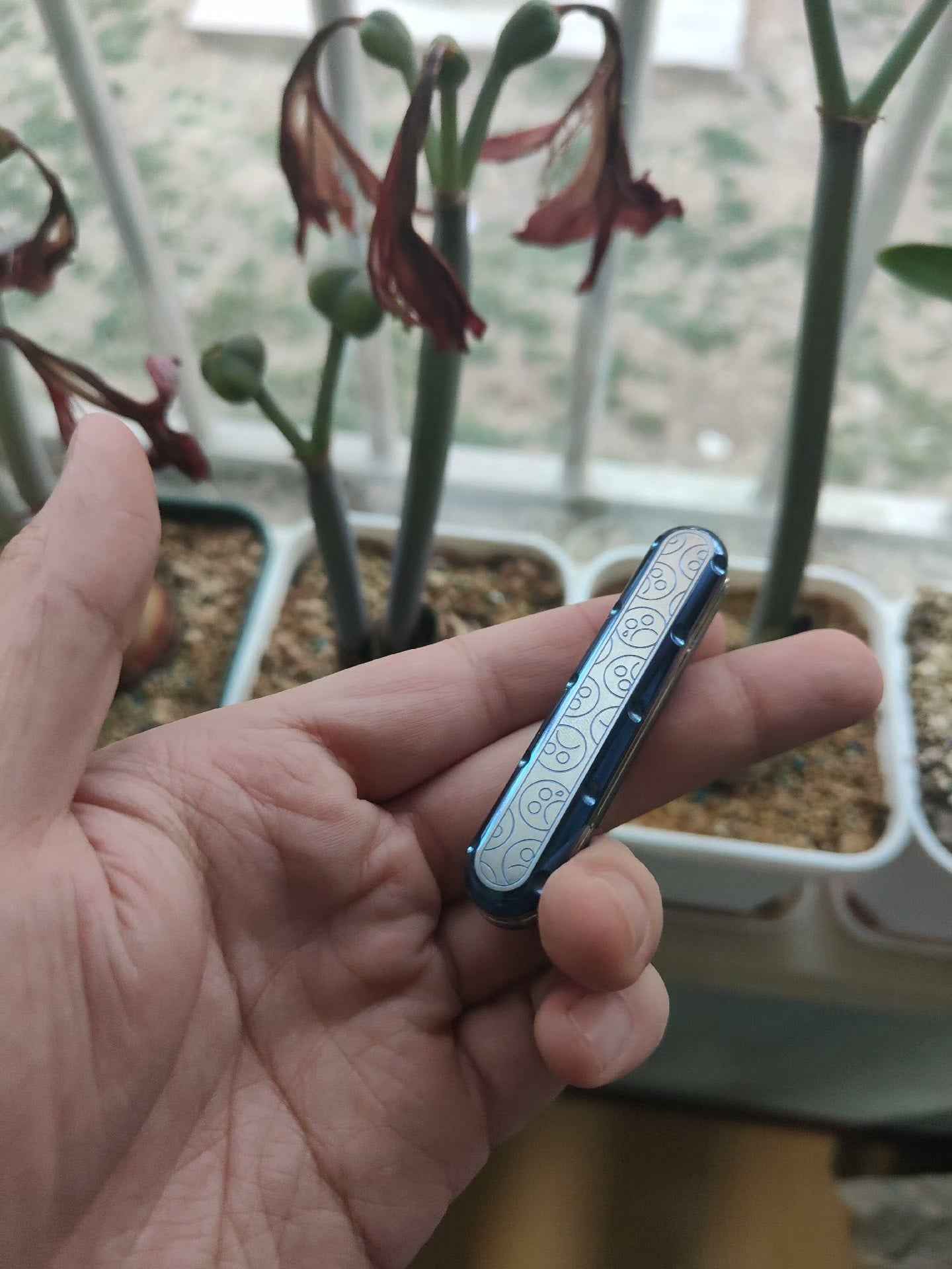 Top D Titanium