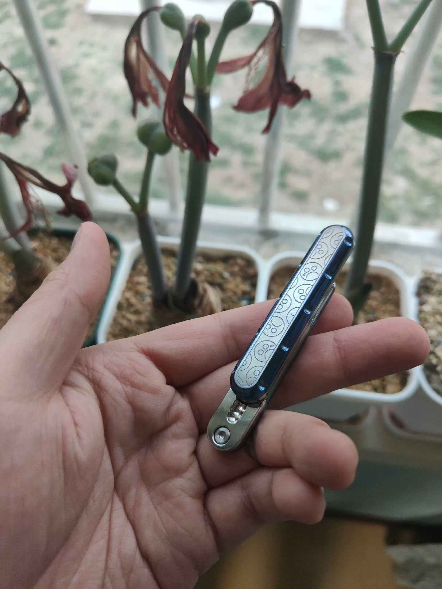 Top D Titanium