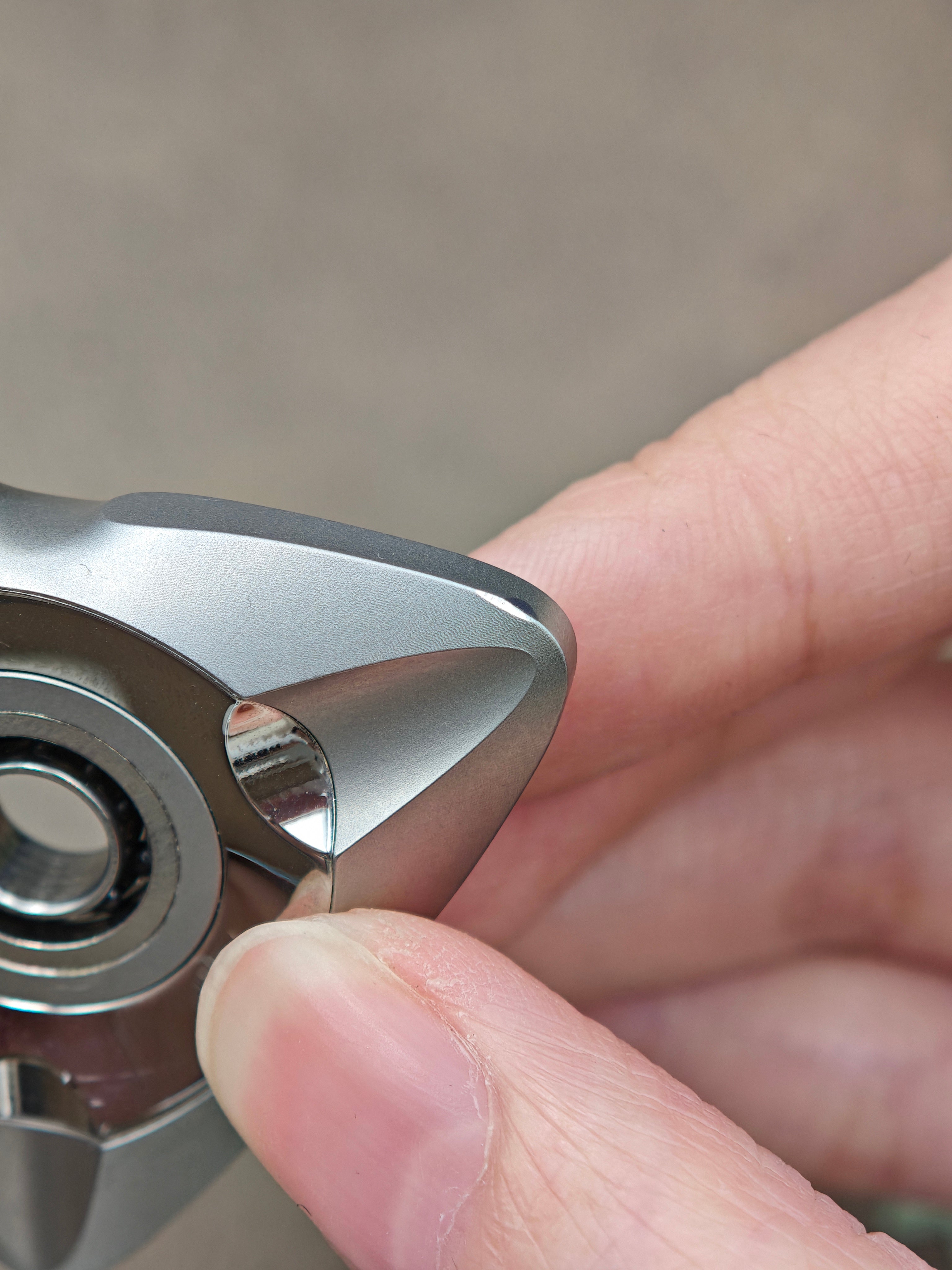 Maybe Re Wild Stainless Steel