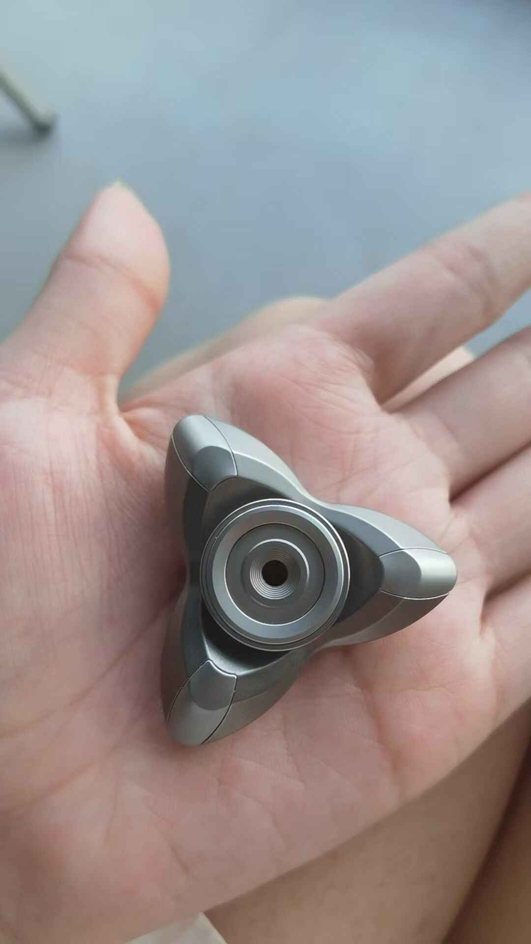 Ouroboros P.D. Titanium Stainless Steel Limited Edition