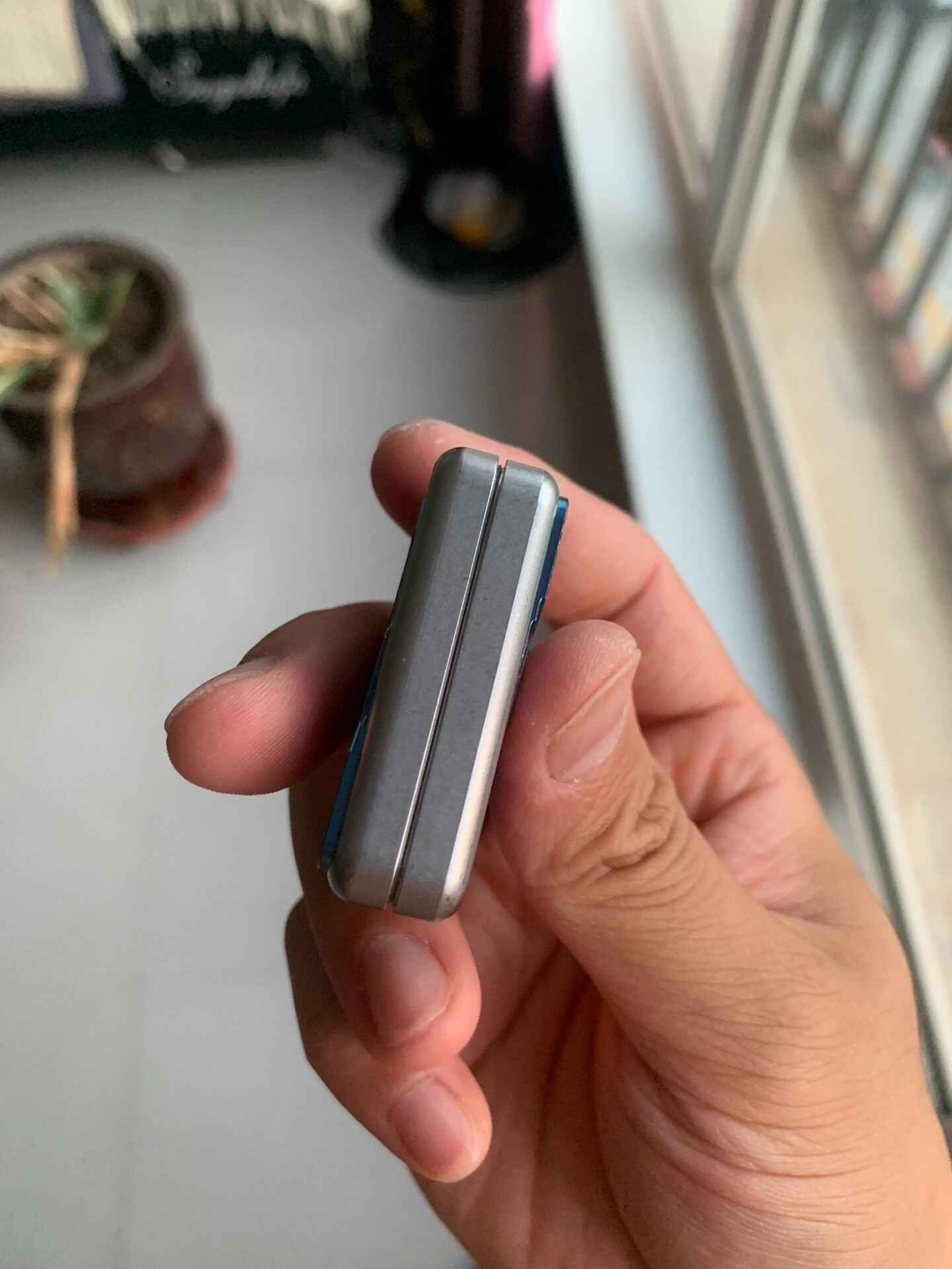 Bear Push Stainless Steel Titanium