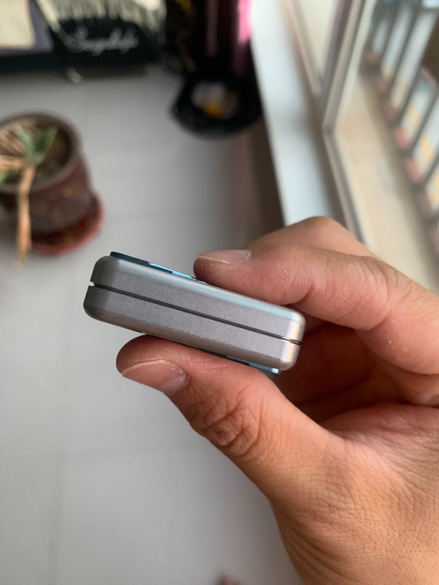 Bear Push Stainless Steel Titanium